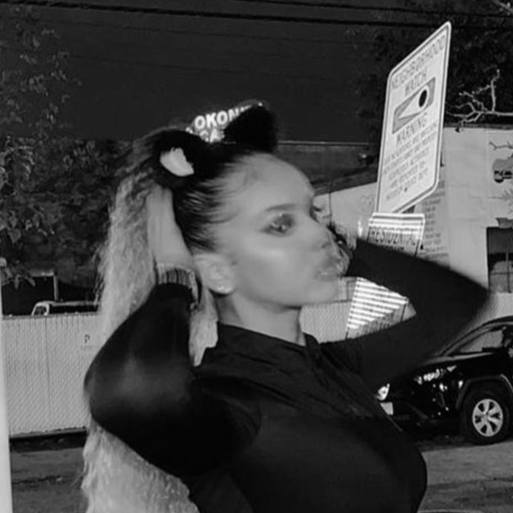 Fluffy Black And White Cat Ears With Clips